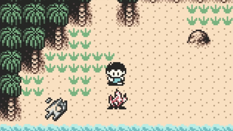 Survival Kids, The Originator Of One Of Switch 2’s Few Original Launch Day Games, Is Available On Switch